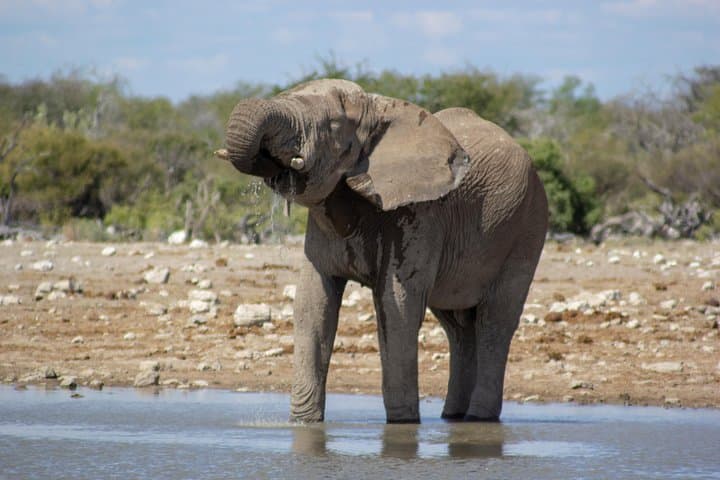 11-Day Namibia Highlights: Kalahari Dunes, Sossusvlei & Etosha Fully Accommodated Safari photo 3