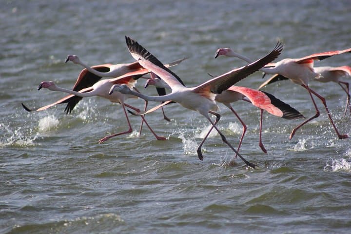 11-Day Namibia Highlights: Kalahari Dunes, Sossusvlei & Etosha Fully Accommodated Safari photo 4