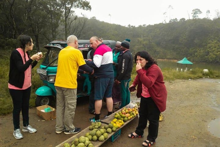 Horton Plains Hike: World's End & Baker's Falls on a 4-Day Highlands Escape photo 6