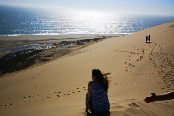 Sandwich Harbour 4x4 Dune Drive & Pelican Point Seal Colony — Full Day from Walvis Bay photo 1