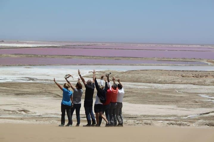 Sandwich Harbour 4x4 Dune Drive: Half-Day Coastal Safari from Walvis Bay photo 2