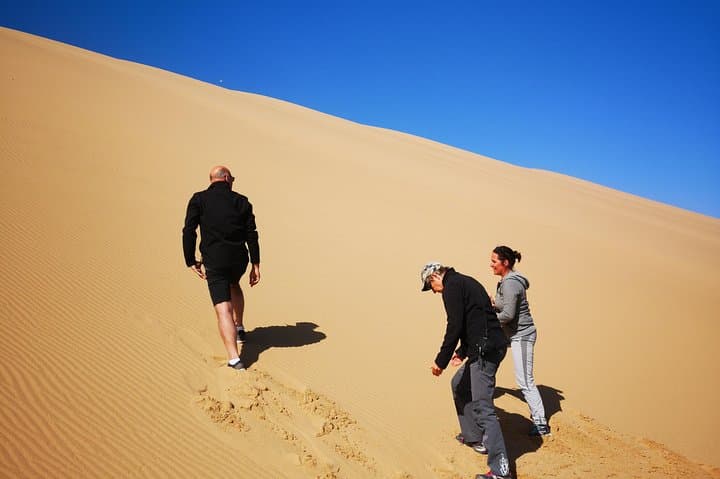 Sandwich Harbour 4x4 Dune Drive: Half-Day Coastal Safari from Walvis Bay photo 6