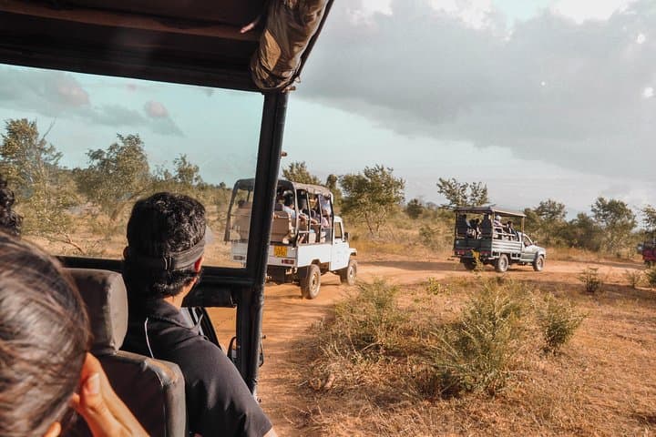 Temples and Wilderness: 2-Day Private Tour from Negombo to Yala National Park photo 4