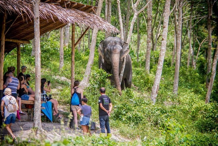 Phuket Elephant Sanctuary Morning Visit: Ethical Encounters with Rescued Elephants photo 2