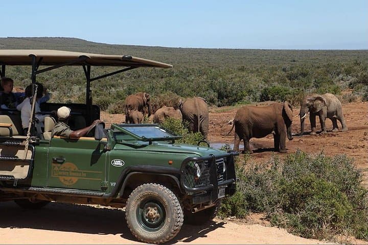 Garden Route, Karoo & Addo: 9-Day Coastal and Safari Expedition from Cape Town photo 2