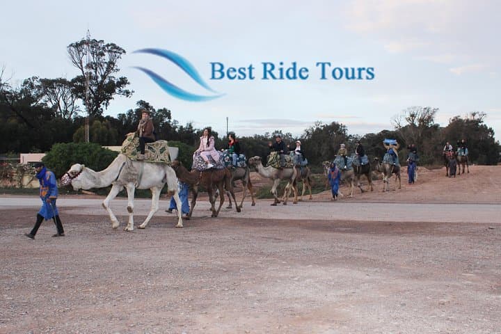 Agadir Camel Riding Tour — Eucalyptus Groves, Sand Dunes & Oued Souss Birdwatching photo 2
