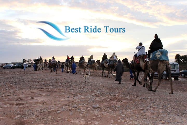Agadir Camel Riding Tour — Eucalyptus Groves, Sand Dunes & Oued Souss Birdwatching