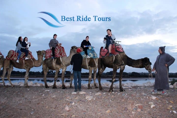 Agadir Camel Riding Tour — Eucalyptus Groves, Sand Dunes & Oued Souss Birdwatching photo 3