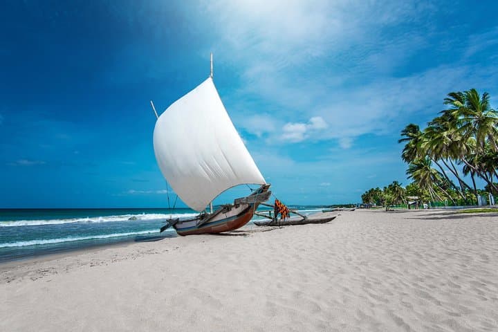 Exploring Negombo: Sri Lanka's Coastal and Cultural Gem photo 5