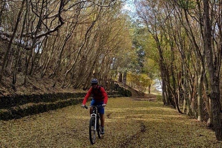 Full Circuit of Mount Etna by E‑MTB: One‑Day Circumnavigation from Catania photo 4