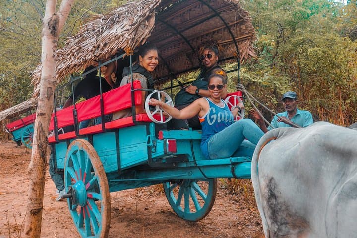 Week in Paradise: 7-Day Sri Lanka Circuit from Sigiriya to Bentota photo 3