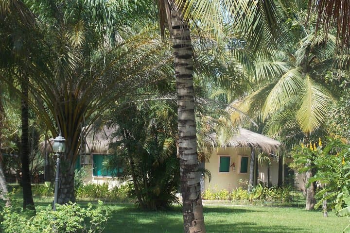 4-Day Senegambia Supremo: Fathala Safari, Wassu Stone Circles & River Gambia Cruise photo 6