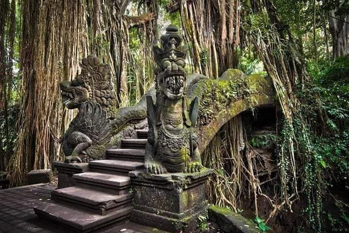 Ubud Quad Ride and Cultural Day Tour: ATV Adventure, Rice Terraces & Monkey Forest photo 4