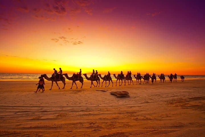 Sunset Camel Ride in Agadir: Dunes to Ocean Camel Trek