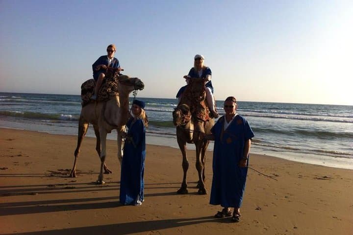 Sunset Camel Ride in Agadir: Dunes to Ocean Camel Trek photo 3