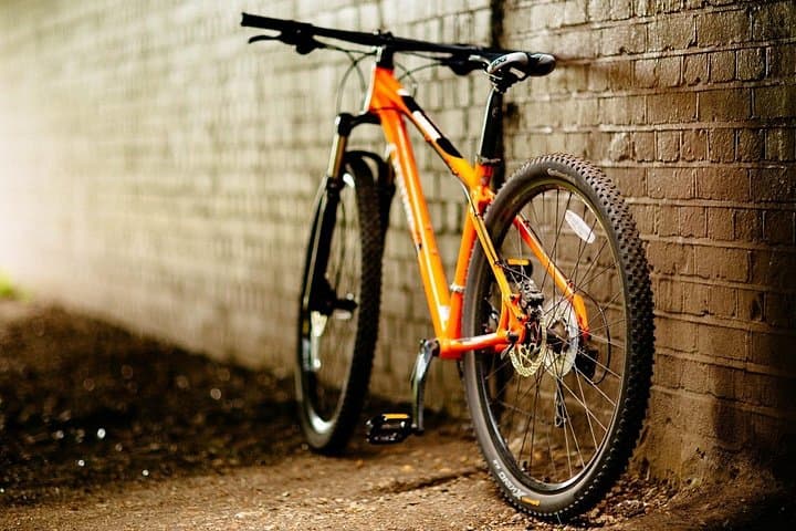 Kochi Geared Bike Rental — Explore Fort Kochi and Coastal Backstreets by Bike photo 1