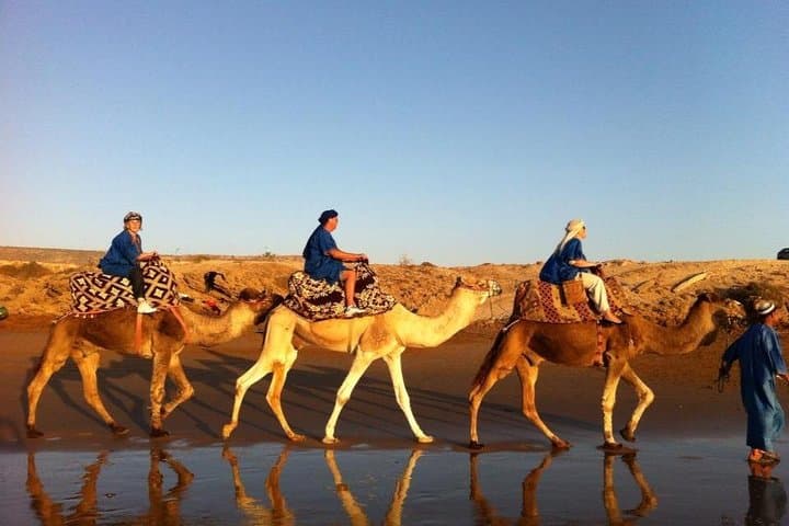 Sunset Camel Ride in Agadir: Dunes to Ocean Camel Trek photo 2