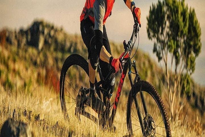 Kochi Geared Bike Rental — Explore Fort Kochi and Coastal Backstreets by Bike photo 4