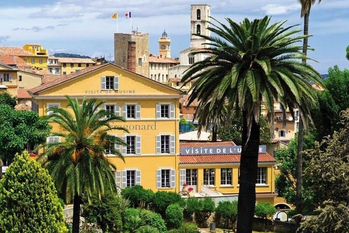 Provence Perfumes, Port Views & Medieval Streets: Full-Day Shore Excursion from Cannes