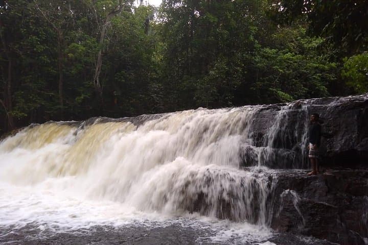 Full-Day Presidente Figueiredo Waterfall Tour from Manaus photo 2