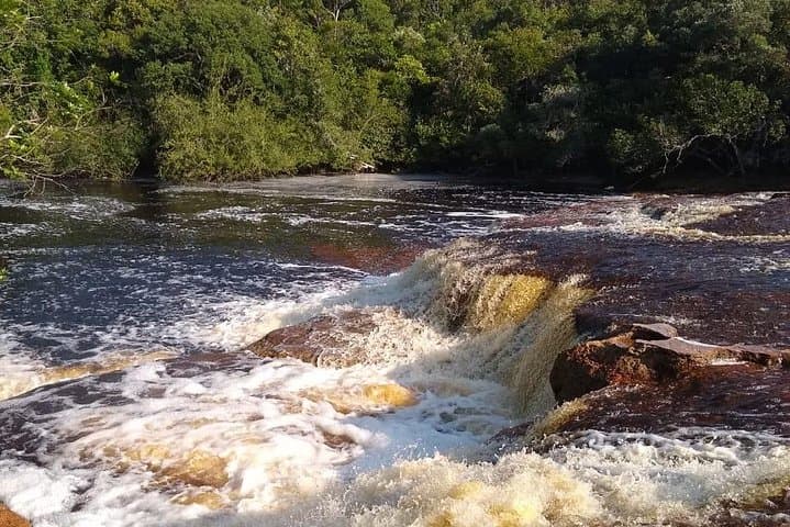 Full-Day Presidente Figueiredo Waterfall Tour from Manaus photo 3