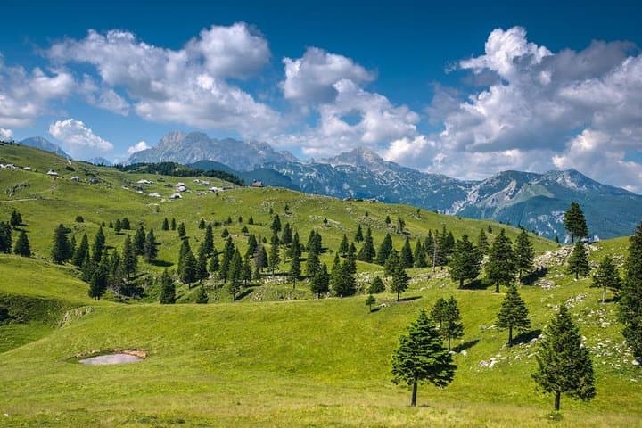Velika Planina private hiking trip from Ljubljana — Shepherd Huts & Alpine Meadows