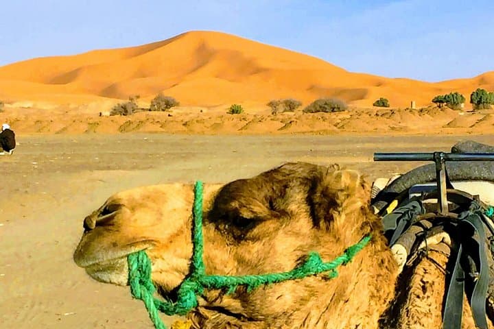 Crossing Morocco: 5-Day Tangier to Marrakech via Chefchaouen, Fez & Merzouga photo 1