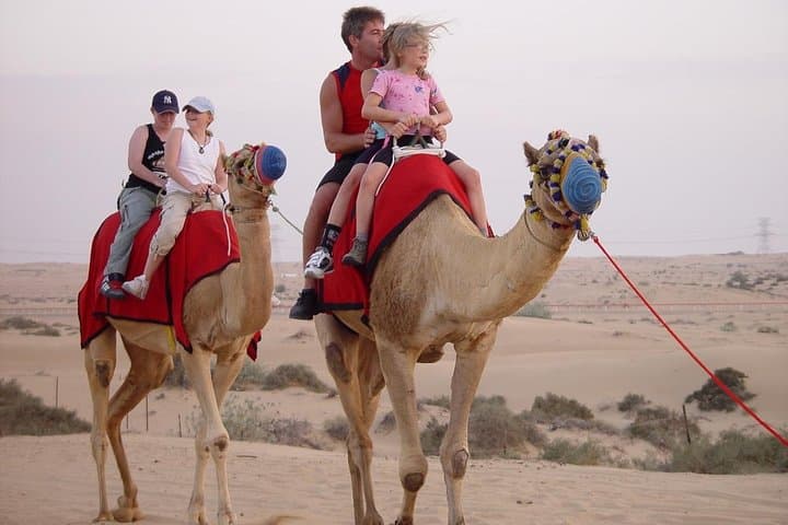 Camel Riding in Agadir: 2-Hour Souss River & Ranch Experience photo 5