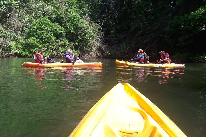 Chagres River Kayak & Embera Village Day Trip from Panama City photo 4