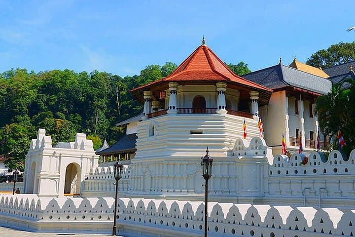 Kandy Day Tour from Colombo: Shore Excursion to Temple of the Tooth, Tea & Gems photo 3