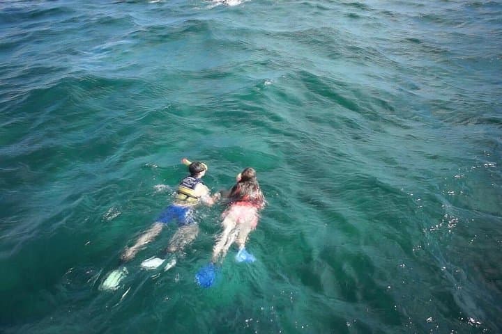 Cancun MUSA Snorkel Tour: Reefs, Shipwrecks & Hotel Pickup photo 5