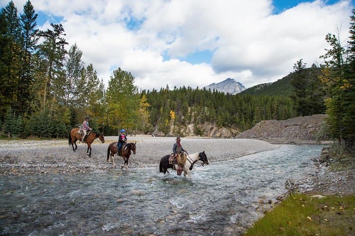 Exploring Banff’s Spray River on a 1-Hour Guided Horseback Ride