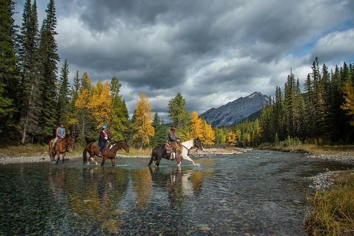 Exploring Banff’s Spray River on a 1-Hour Guided Horseback Ride photo 5