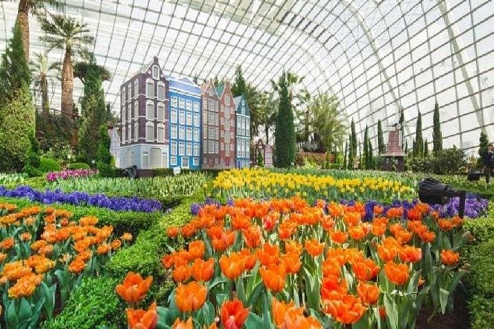 Gardens by the Bay E-Tickets: Skip-the-Line for Cloud Forest & Flower Dome photo 2