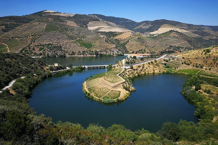Authentic Douro Valley Day Tour from Porto — Quintas, Terraces & N222 Views photo 5