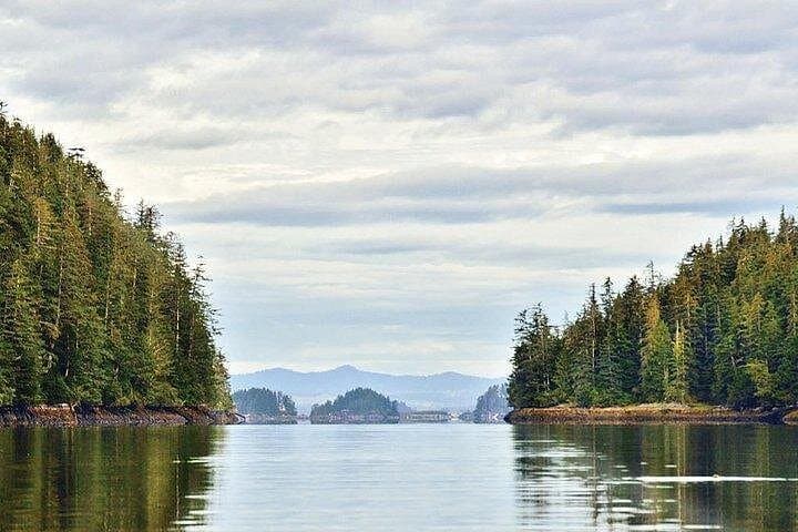 Sitka Sea Kayaking and Wildlife Cruise – Half-Day Port Adventure photo 2
