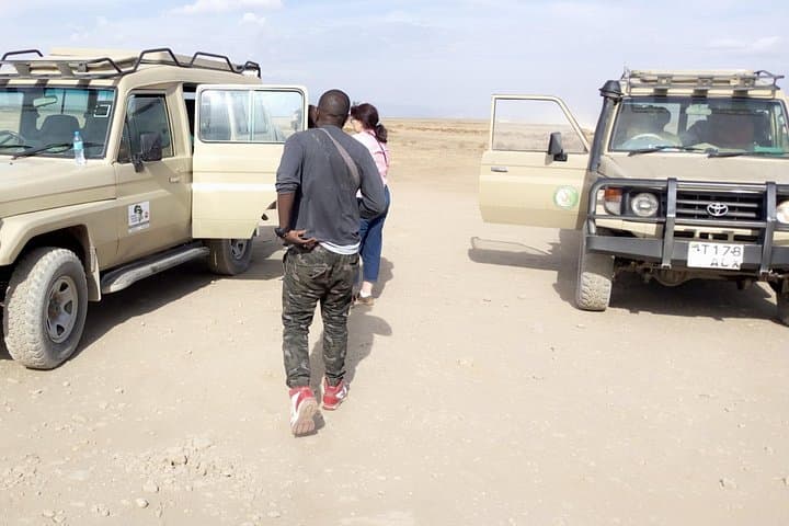 Tarangire National Park Day Trip from Moshi — Elephants, Baobabs & Dry-Season Game photo 1