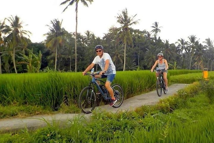 Ubud Cycling Tour: Downhill Bike Ride Through Bali's Rice Paddies photo 1