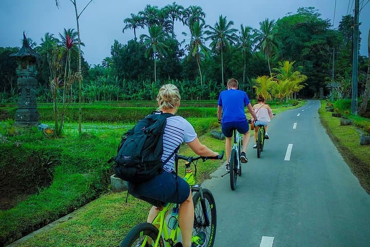 Ubud Cycling Tour: Downhill Bike Ride Through Bali's Rice Paddies photo 2