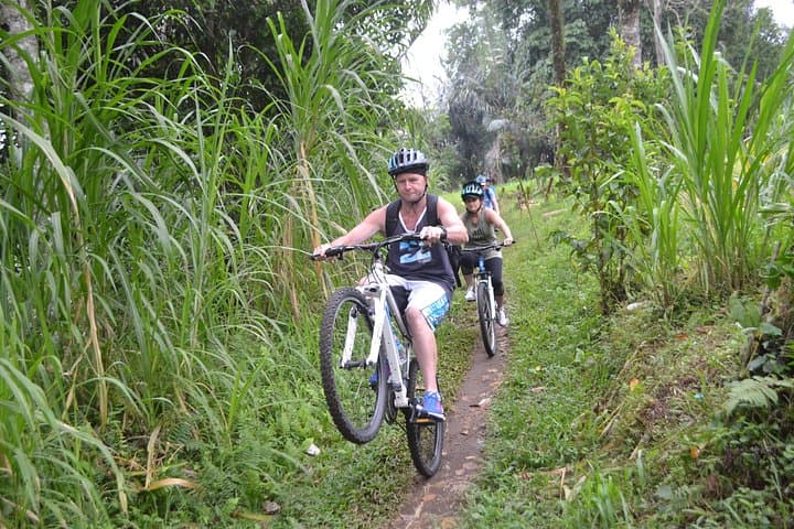 Ubud Cycling Tour: Downhill Bike Ride Through Bali's Rice Paddies photo 3