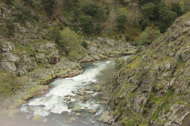 Paiva Walkways Hike & Arouca 516 Bridge: A Private River-ledge Adventure photo 4