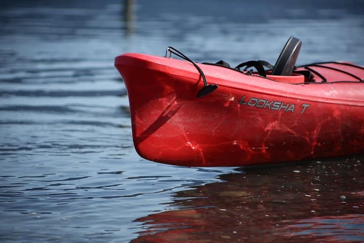 Mendenhall Glacier Sea Kayaking: Fritz Cove Glacier-View Kayak Tour from Juneau photo 2