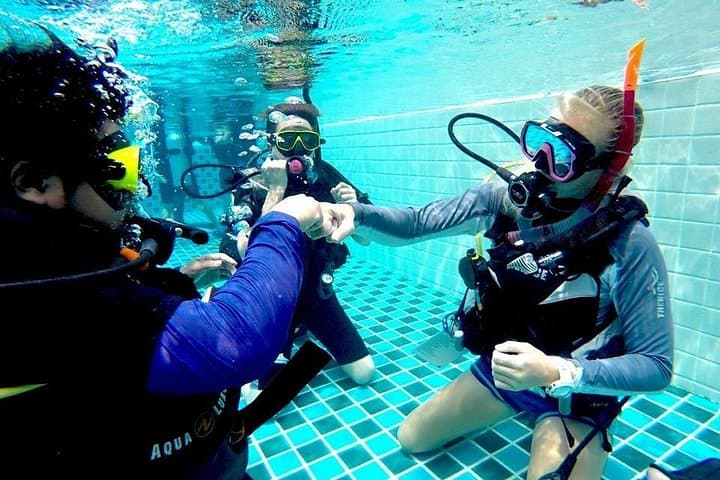 6-Week PADI Divemaster Course in Koh Chang — Professional Scuba Training