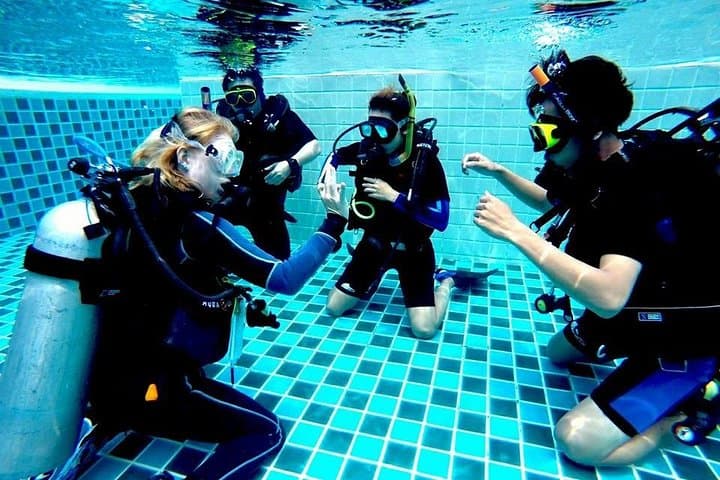 6-Week PADI Divemaster Course in Koh Chang — Professional Scuba Training photo 2