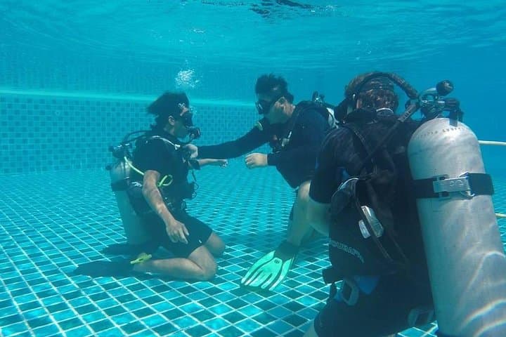 6-Week PADI Divemaster Course in Koh Chang — Professional Scuba Training photo 6