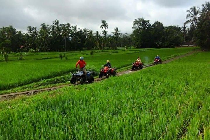 Ubud ATV Ride: 2-Hour Quad Bike Adventure Through Rice Fields & Jungle photo 5