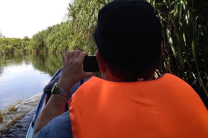 Koran River Half-Day: Sebangau Swamp Boat Tour from Palangka Raya