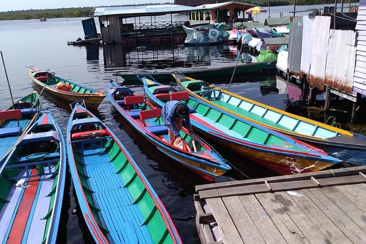 Koran River Half-Day: Sebangau Swamp Boat Tour from Palangka Raya photo 2