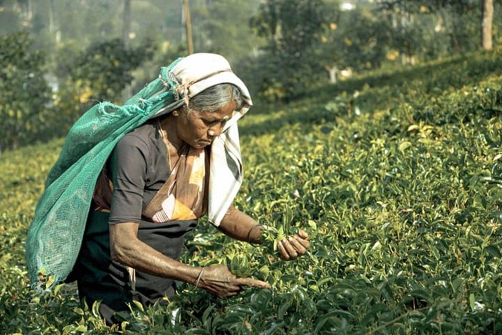 Explore the Enchanting Hill Country of Sri Lanka