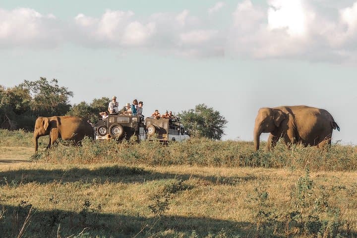 Discovering Sanctuary: 11-Day Cultural & Coastal Journey Through Sri Lanka photo 6